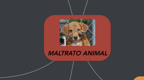 Mind Map: MALTRATO ANIMAL