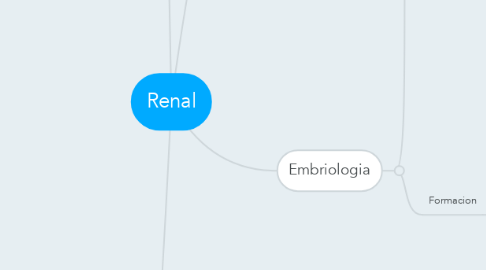 Mind Map: Renal