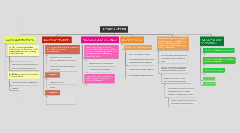 Mind Map: LACTANCIA MATERNA