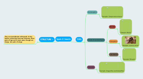 Mind Map: Spain 2: Insects