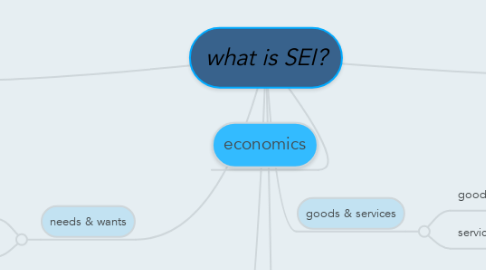 Mind Map: what is SEI?