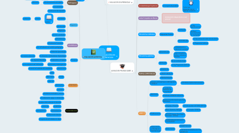 Mind Map: EVALUACIÓN EN EVIDENCIAS