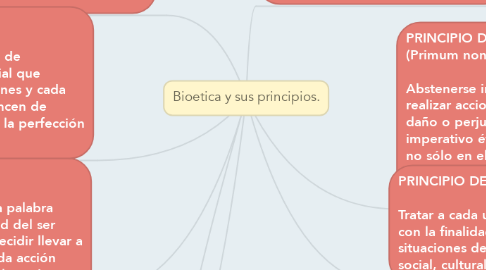 Mind Map: Bioetica y sus principios.