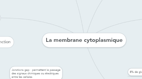 Mind Map: La membrane cytoplasmique