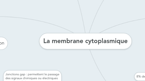 Mind Map: La membrane cytoplasmique