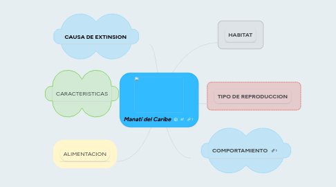 Mind Map: Manatí del Caribe