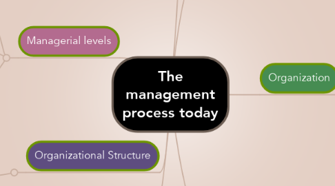 Mind Map: The management process today