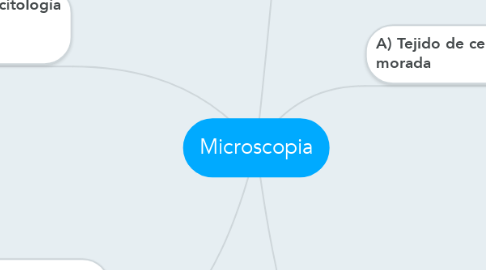 Mind Map: Microscopia