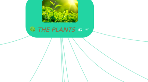 Mind Map: THE PLANTS