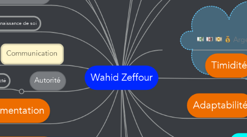 Mind Map: Wahid Zeffour