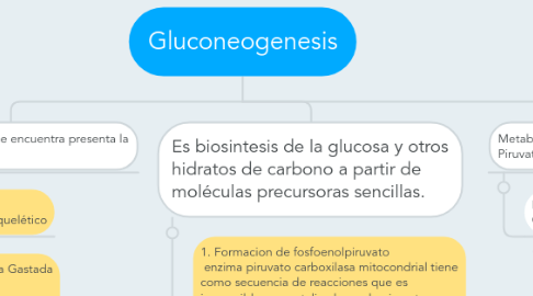 Mind Map: Gluconeogenesis