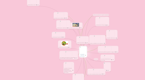 Mind Map: El impacto ambiental del hombre