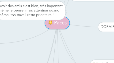 Mind Map: Paces