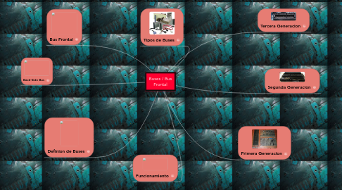 Mind Map: Buses / Bus Frontal