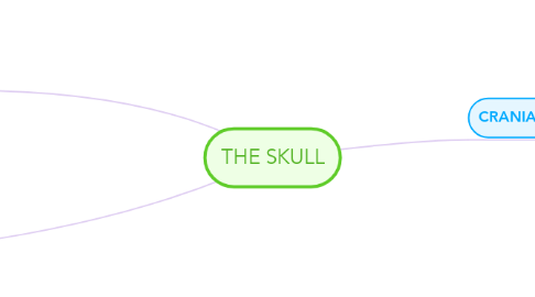 Mind Map: THE SKULL