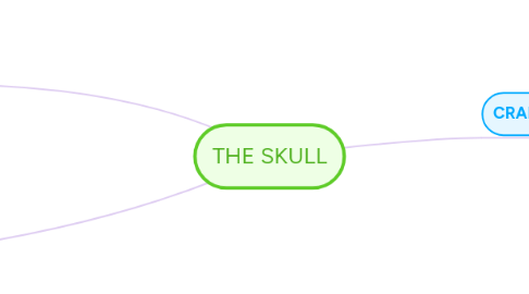 Mind Map: THE SKULL