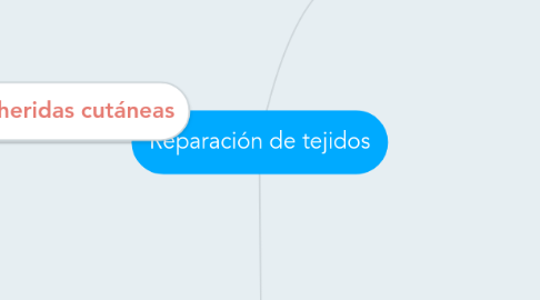 Mind Map: Reparación de tejidos