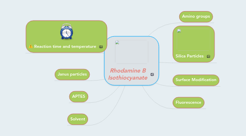 Mind Map: Rhodamine B Isothiocyanate