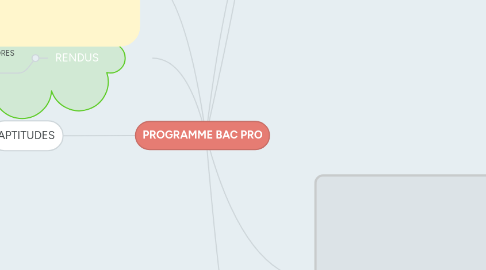 Mind Map: PROGRAMME BAC PRO