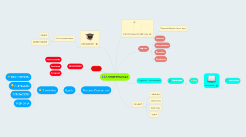 Mind Map: COMPETENCIAS