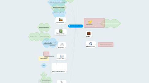 Mind Map: DISEÑO CUALITATIVO