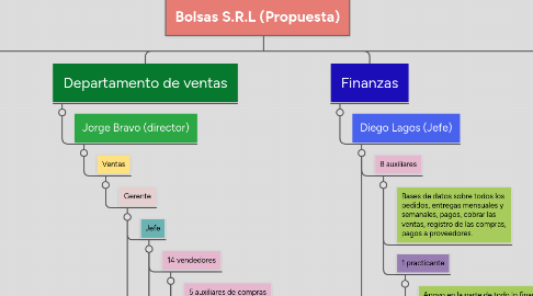 Mind Map: Bolsas S.R.L (Propuesta)