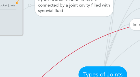 Mind Map: Types of Joints