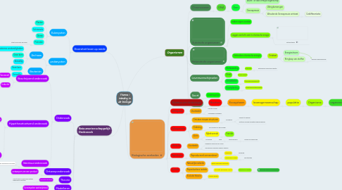 Mind Map: Thema 1 Inleiding in de biologie