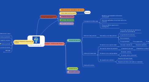 Mind Map: Evaluación de Proyectos