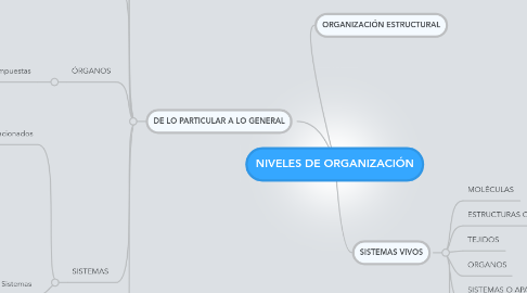 Mind Map: NIVELES DE ORGANIZACIÓN