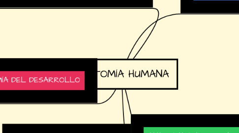 Mind Map: ANATOMÍA HUMANA