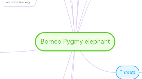 Mind Map: Borneo Pygmy elephant