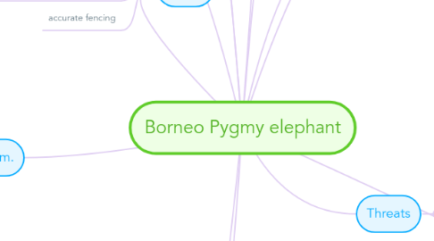 Mind Map: Borneo Pygmy elephant