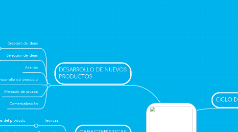 Mind Map: PRODUCTO