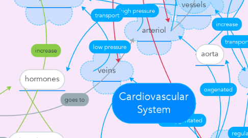 Mind Map: Cardiovascular System