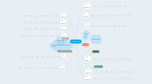 Mind Map: ÇİN BURÇLARI