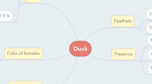 Mind Map: Duck