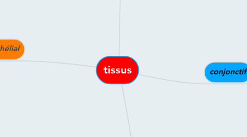 Mind Map: tissus