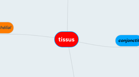 Mind Map: tissus