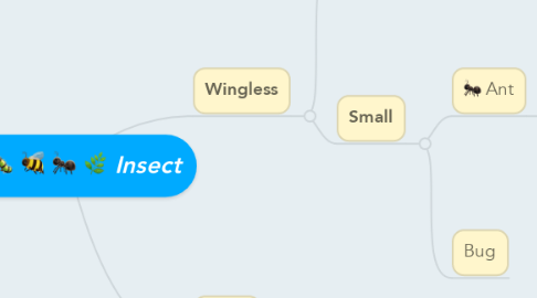 Mind Map: Insect