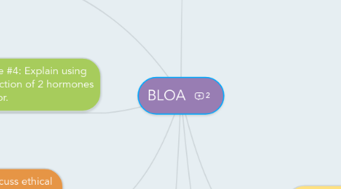 Mind Map: BLOA