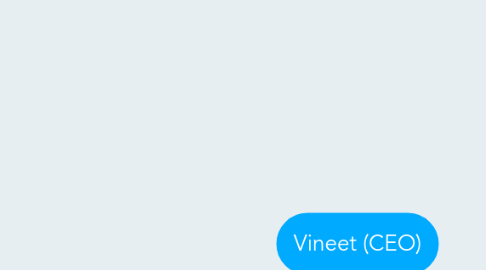 Mind Map: Vineet (CEO)