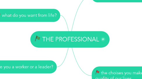 Mind Map: THE PROFESSIONAL