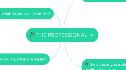 Mind Map: THE PROFESSIONAL