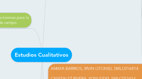 Mind Map: Estudios Cualitativos