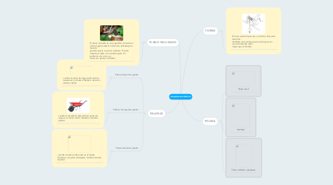 Mind Map: MAQUINAS SIMPLES