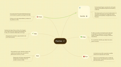 Mind Map: Plantas