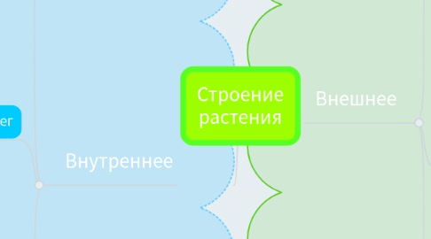 Mind Map: Строение растения