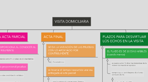 Mind Map: VISITA DOMICILIARIA