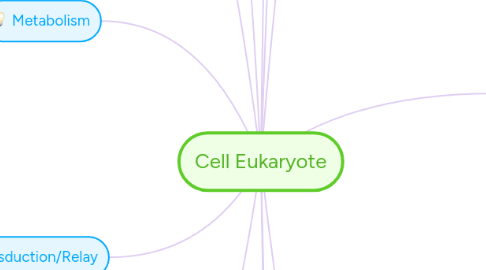 Mind Map: Cell Eukaryote